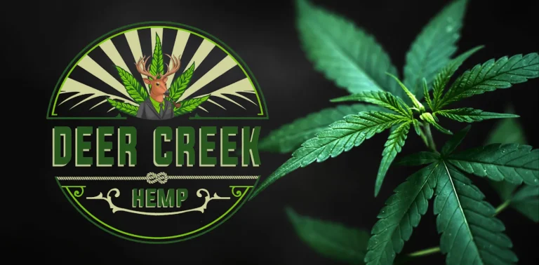 Americas Cannabis Directory 30sqX2z 2000x2000 1 768x378