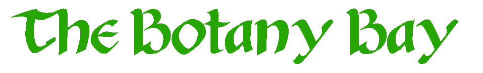 BotBayLogoGRN