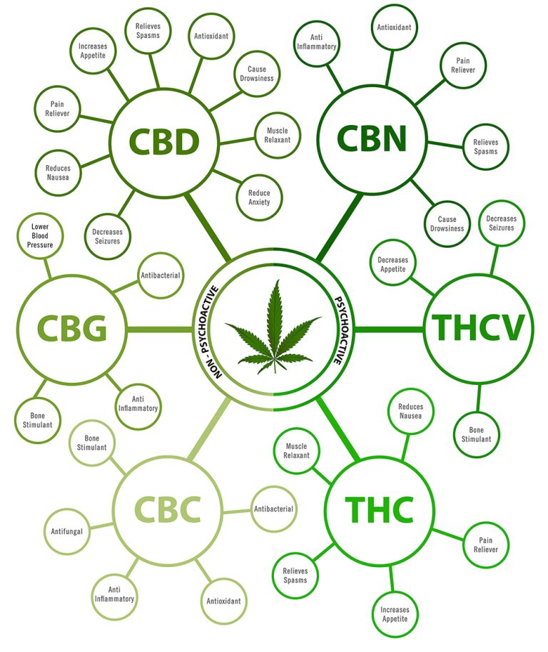 Cannabinoid Guild 768x913