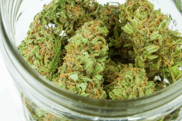 KentuckyMedicalMarijuanaCard 768x512