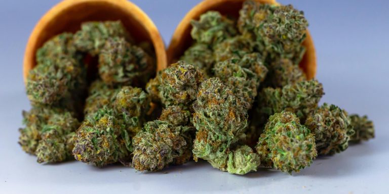Ky Dispo Medical Cannabis Dispensary Locations 1 768x384