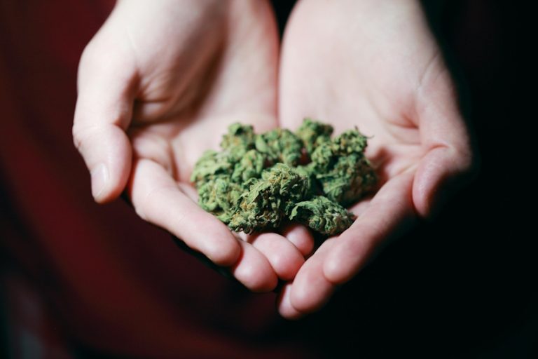 Medical Marijuna Alexandria Kentucky Dispo 768x512