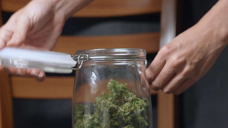 Kentucky Cannabis Location Medical use 2 768x432