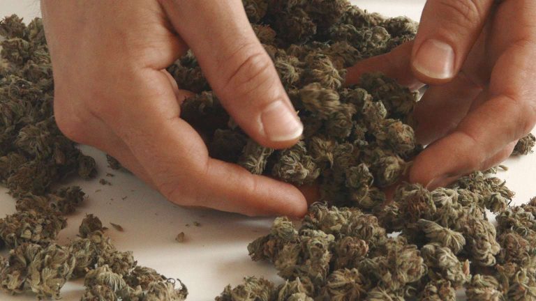 Kentucky Cannabis Location Medical use 8 2 768x432