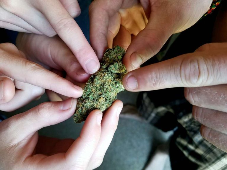 Ky dispo Dispensary Kentucky Cannabis 3 2 11zon 768x576