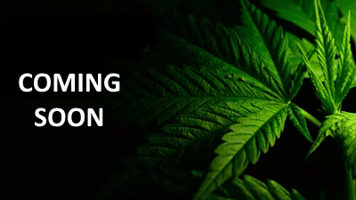 Medical Cannabis Coming Sooon Locations Kentucky